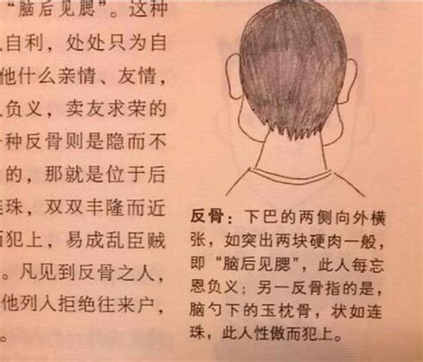 天生驥足豈尋常意思